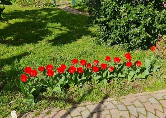 Konukevi Casa Nostra