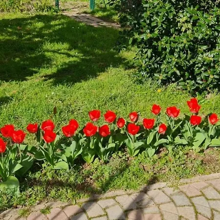 Гостевой дом Casa Nostra