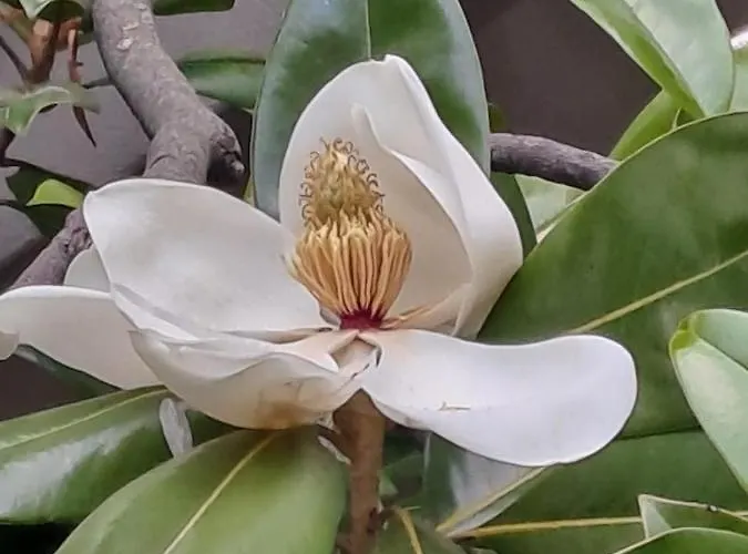 Casa Nostra 3* 이몰라